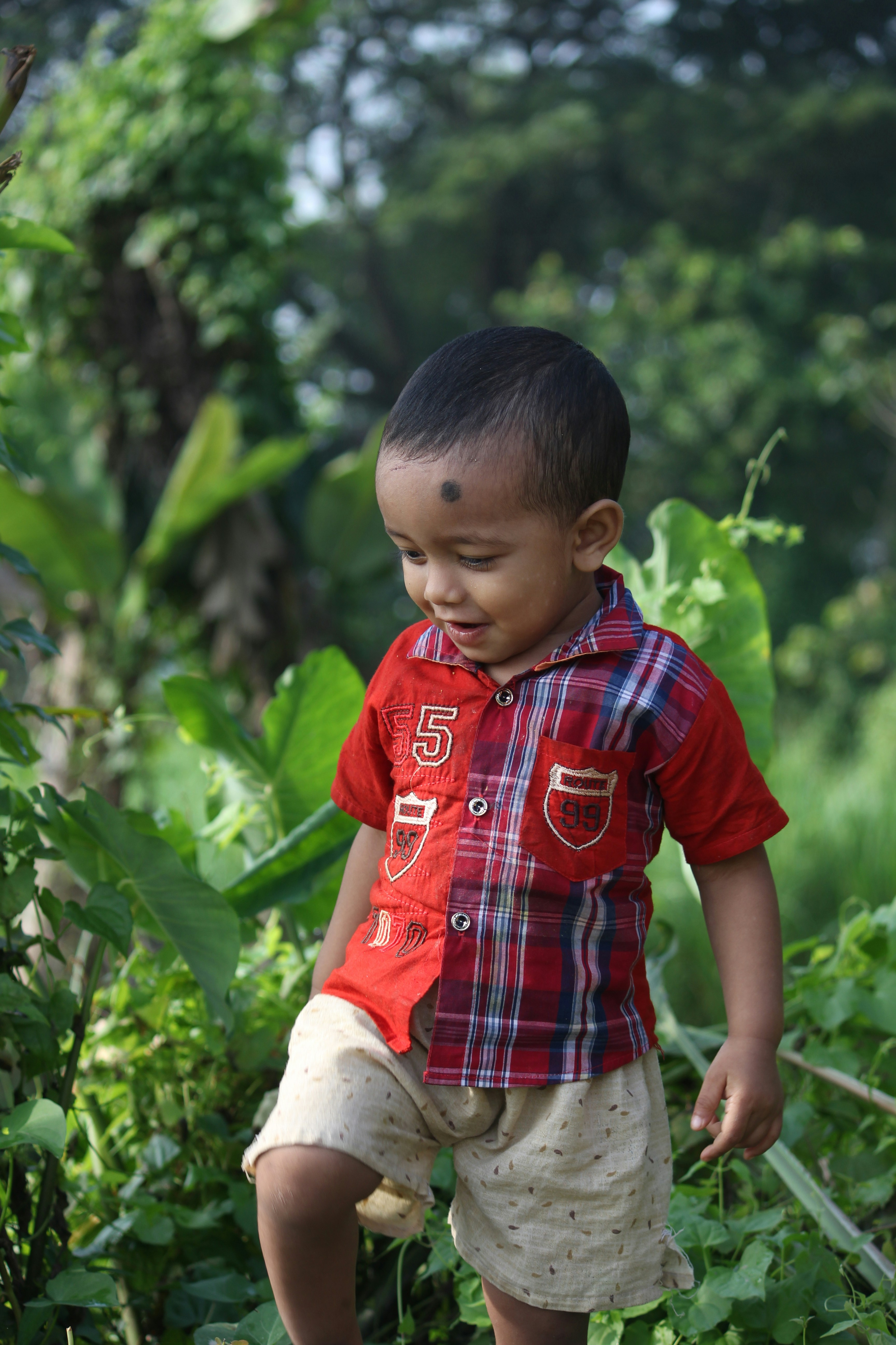 热门推荐封面：专题合集
